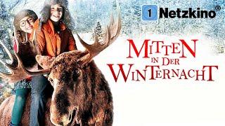 In the Middle of the Winter Night (Funny CHRISTMAS ADVENTURE Full Movie German, Christmas Movies)