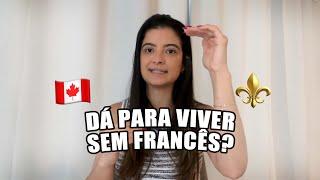 Morar em Quebec/Montreal SEM francês: a REALIDADE!