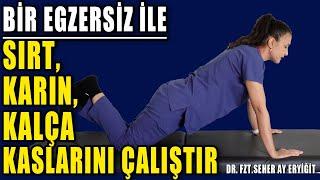 BİR EGZERSİZ İLE SIRT-BEL-KARIN KASLARINI ÇALIŞTIRIN #aktifizyo #fiziktedavi