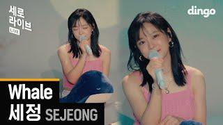 [ENG SUB] 김세정 목소리 듣는 순간 눈앞에 펼쳐지는 여름 바다 | 세정(SEJEONG) - Whale | 4K SERO LIVE | 세로라이브ㅣDingo Music