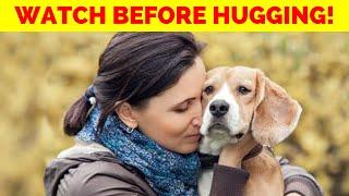 Don’t Hug Your Dog Until You Watch This—The Truth About Canine Comfort!