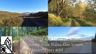 Slow-TV #07: Loch Awe West Shore Quadrilogy. Four Walks. One Screen. ~80 minutes. Diary #089