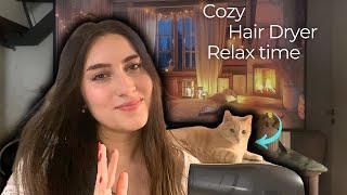 Relaxing Moments: Hair Dryer Sound and My Cat’s Company