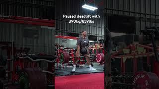 What a paused deadlift looks like #gymshark #jamalbrowner #powerlifting