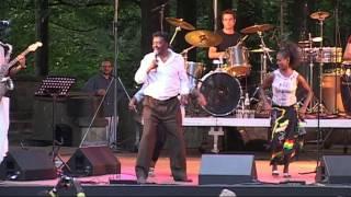 Alemayehu Eshete - 5 - LIVE at Afrikafestival Hertme 2008