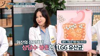 장 청소부! 장내 유익균 증식에 도움 되는 ‘LGG 유산균’ TV CHOSUN 20210808 방송 | [알맹이] 137회 | TV조선