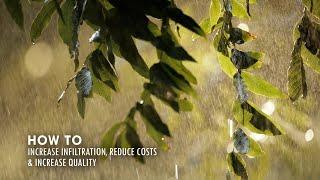 How to Increase Infiltration, Reduce Costs & Increase Quality