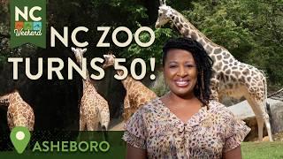 NC Zoo Turns 50! | Asheboro, NC | North Carolina Weekend