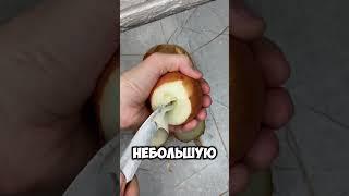 ПРИРОДНЫЙ АНТИБИОТИК