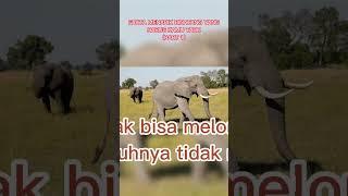 FAKTA MENARIK TENTANG BINATANG YANG HARUS KAMU TAHU (PART 1)