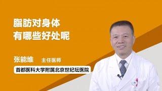 脂肪对身体有哪些好处呢 张能维 首都医科大学附属北京世纪坛医院