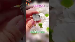 翡翠 珠寶 | 剩的一塊小碎料，打算放魚缸里的，沒想到竟然被小師妹拿去設計成了這款獨一無二的戒指，有看上的嗎？#珠寶首飾 #翡翠直播 #翡翠 #珠宝 #珠寶 #翡翠珠寶 #Shorts