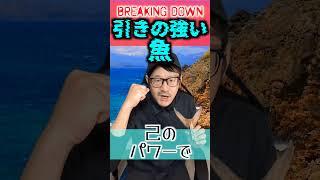 【3選】BREAKING DOWN！引きの強い魚3選【ブレイキングダウン】