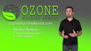 DIY Pet Odor Removal (Best Kept Secrets)