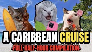 Cat MEMES: THE CRUISE FULL HALF-HOUR COMPILATION