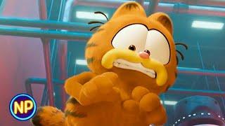 Garfield Gets Captured by Animal Control | The Garfield Movie (2024) | Now Playing