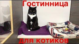 Гостиница для кошек. Реальный опыт!