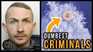 Dumbest World Criminals: Oct-Dec 2024 (Crimes Of The Week Int'l Compilation)