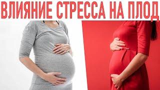 ПАГУБНОЕ ВЛИЯНИЕ СТРЕССА НА ПЛОД. Опасности стресса для беременных