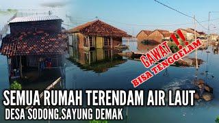 GAWAT‼️DI SAYUNG DEMAK SEMUA RUMAH WARGA TERENDAM AIR LAUT