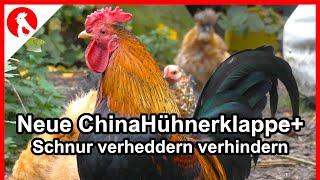 F242 Neue Hühnerklappe - Schnur verheddern verhindern   - Jensman and the Huhns