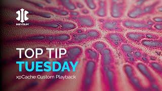 Top Tip Tuesday xpCache Custom Playback