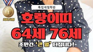 [2025년 호랑이띠 4월 운세] 64세 76세, 조만간 ‘큰 일’ 터집니다! 금전운ㅣ애정운ㅣ건강운