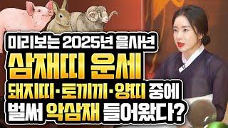 미리보는 2025년 삼재특집 2025년 을사년에 최악의 삼재띠는 어떤 띠가 있을까? 토끼띠 양띠 돼지띠 삼재띠 분들은 꼭 미리 알고 예방하세요 그래야 나에게 복이 찾아옵니다.