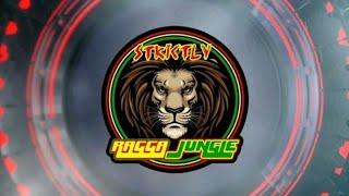 RAGGA JUNGLE / Jump Up DnB / DRUM AND BASS mix 2025 - www.strictlyraggajungle.com/radio