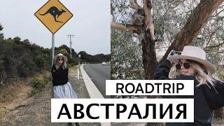 8. Австралия. VLOG — Мельбурн и Великая Океанская дорога