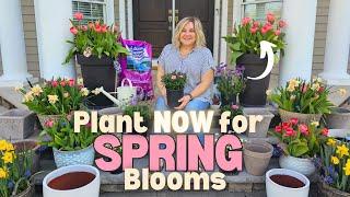 Plant Bulbs in October for Blooms in Spring. Shop with Me for Bulbs at Home Depot Garden Center