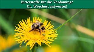 Bitterstoffe zur Pflege der Verdauungsorgane? Dr. Wiechert antwortet!