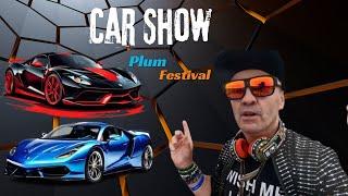 Mr Wig Explores the Best Cars at Pershore Plum Festival 2024