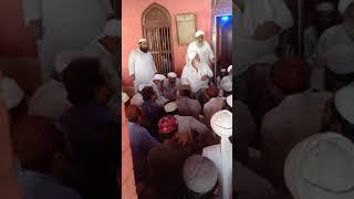 Haleji sharef