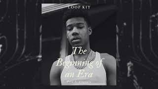 [FREE] Nardo Wick Loop Kit - "The Beginning of an Era" (Nardo Wick, EST Gee, Dark)