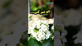 صبر از نگاه مولانا/  رادیو آگاهی #shorts