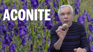 Dr Joe Schwarcz talks about the poison aconite