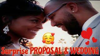 SURPRISE PROPOSAL | He PROPOSED on my BIRTHDAY | WEDDING at the end of the PROPOSAL **you will cry**