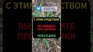 СОРНЯКИ ИСЧЕЗНУТ ЗА 5 ДНЕЙ #огород #сорняки #дача #сад