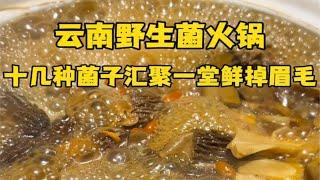 一次吃到十几种云南野生菌！精髓全在土鸡炖菌汤！｜汤巴适