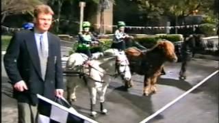 Harness Racing,Mini Trotters Challenge Accident (The Footy Show)