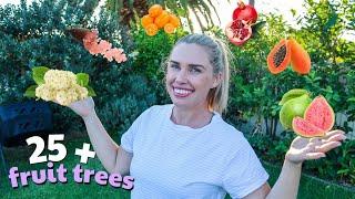 FULL FRUIT TREE TOUR || Urban Permaculture Garden on a 720 sqm suburban property