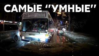 Подборка САМЫХ "УМНЫХ" водителей #1078