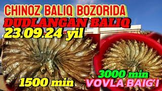 CHINOZ BALIQ BOZORIDA 1500 MINGDAN 3000 GACHA