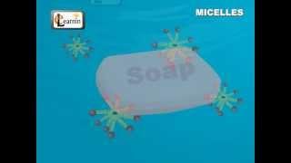 Soap Micelles Formation - Science