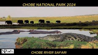 River safari @ Chobe National Park # Wild Enimals (Kasane)Botswana travel adventures and camping.