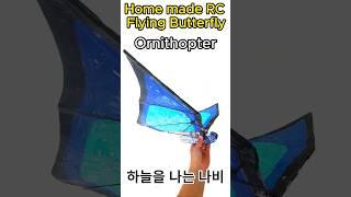 Home made RC Flying Butterfly_하늘을 나는 나비_Ornithopter #shorts #Ornithopter #Flapping_Wing #RC나비