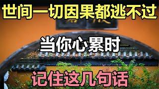 禪意合集：世間一切因果都逃不過，當你心累時，記住這幾句話