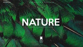 "Nature" - Dancehall x Afrobeat x Wizkid Type Beat Instrumental