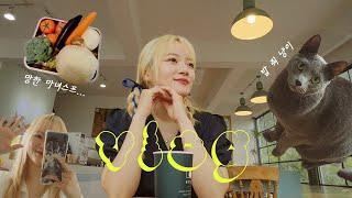 VLOG 마녀수프 만들기 (망함 ^ ^) | 매일 아침 밥 달라고 깨우는 고양이 | 결혼기념일 촬영